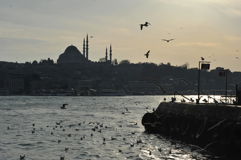 Istanbul (19)