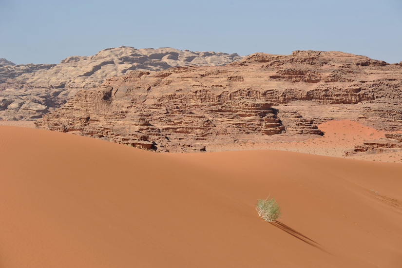 Jordanie désert du Wadi Rum et Cité de Pétra (25)