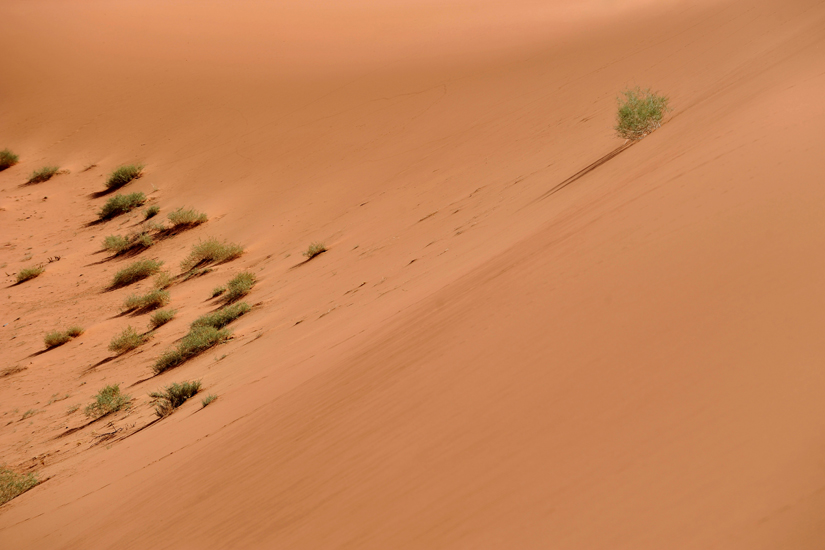 Jordanie désert du Wadi Rum et Cité de Pétra (26)