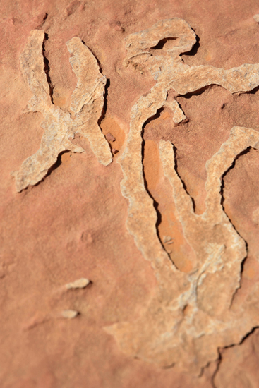 Jordanie désert du Wadi Rum et Cité de Pétra (29)