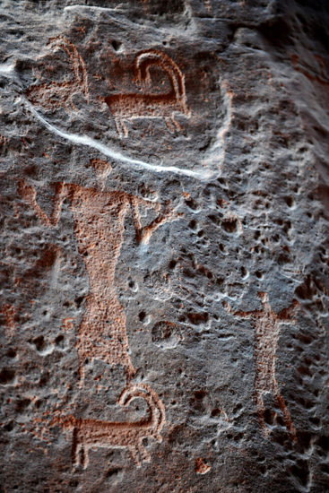 Jordanie désert du Wadi Rum et Cité de Pétra (33)