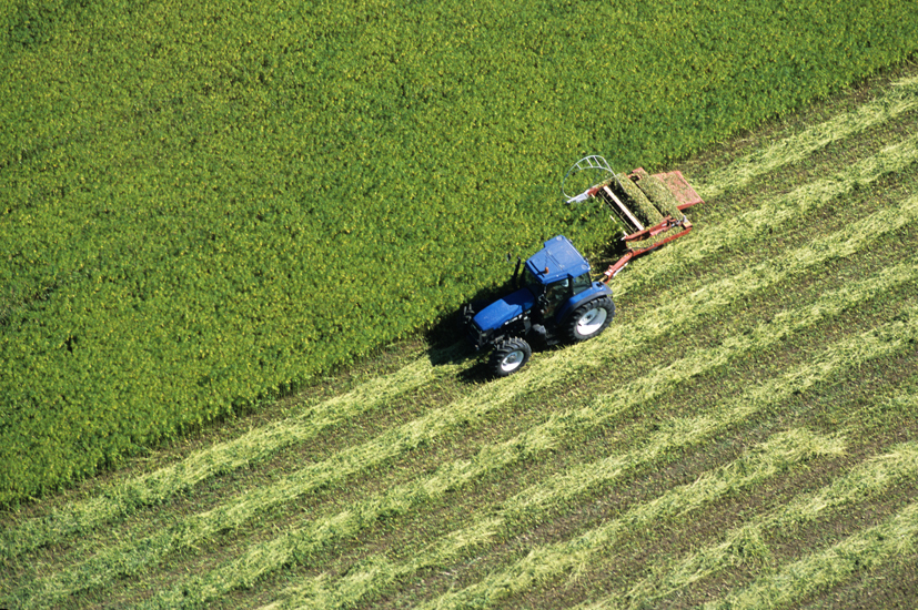 tracteur au travail