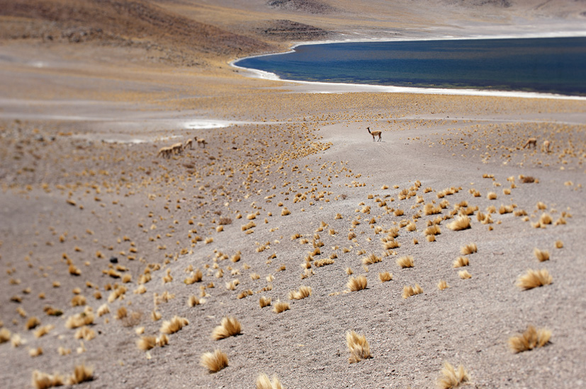 Expo déserts et salars jfl 19